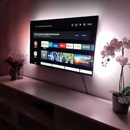Davcom Studio Făgăraş エクステリア 写真
